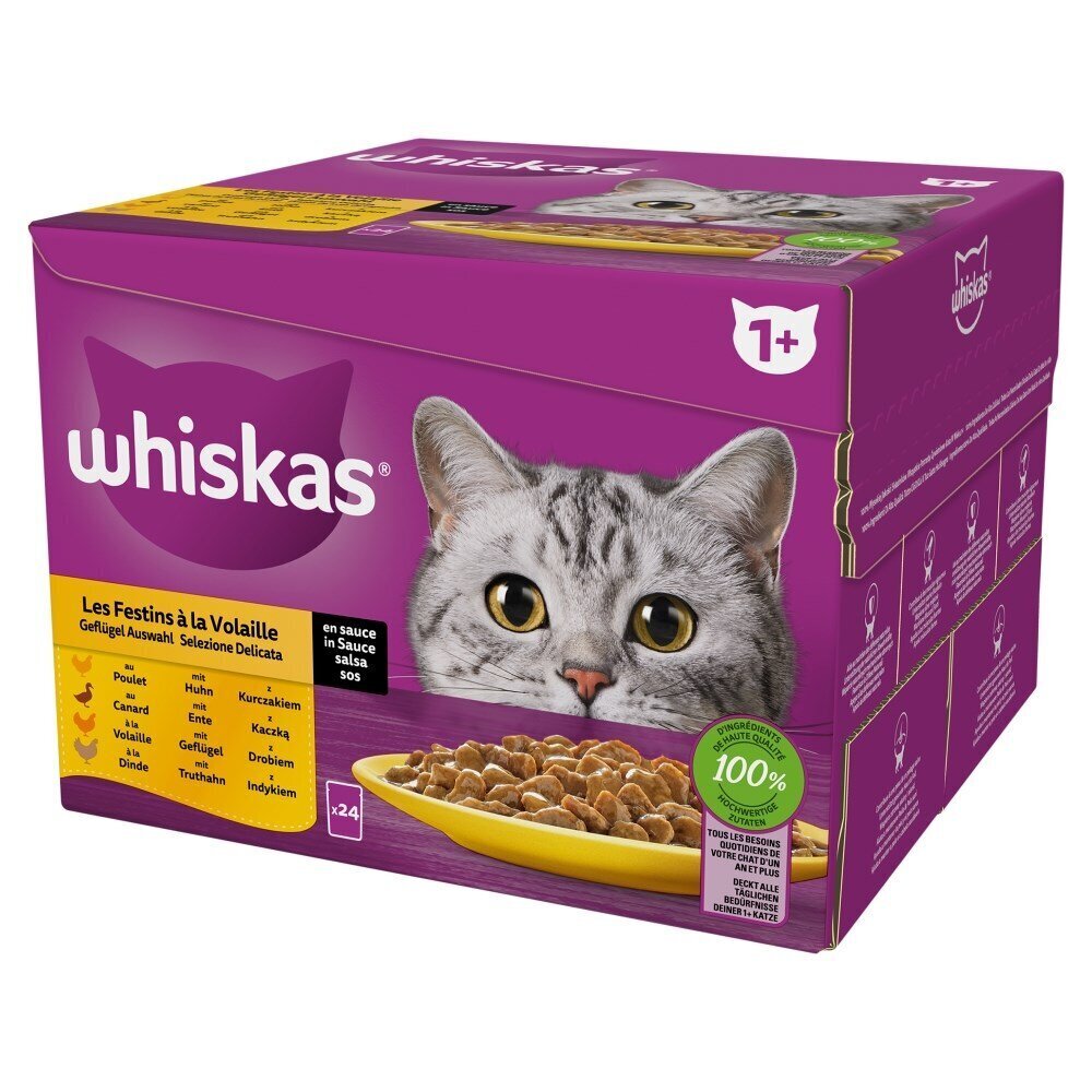 Whiskas Poultry Feast täysravinto kissoille, 24x85 g hinta ja tiedot | Kissanruoka | hobbyhall.fi