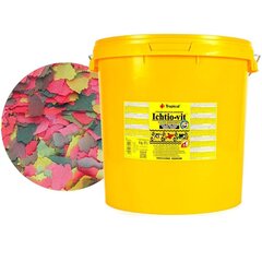 Trooppinen Ichtio-Vit 21L - 4kg kalaruoka hinta ja tiedot | Kalanruoka | hobbyhall.fi