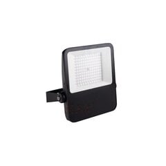 LED-kohdevalo FL Agor 100W hinta ja tiedot | Puutarha- ja ulkovalot | hobbyhall.fi