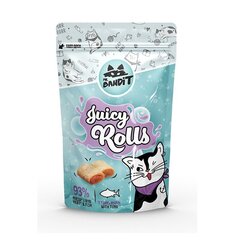 Mr. Bandit Juicy Rolls kissanherkku tonnikalalla, 40 g x 6 hinta ja tiedot | Kissan herkut | hobbyhall.fi