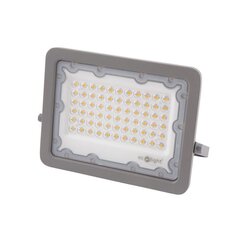 LED-valonheitin PREMIUM 50W 6500K 5000lm IP65 hinta ja tiedot | Puutarha- ja ulkovalot | hobbyhall.fi