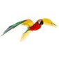 Metalli 3D-rakennussetti Parrot hinta ja tiedot | LEGOT ja rakennuslelut | hobbyhall.fi