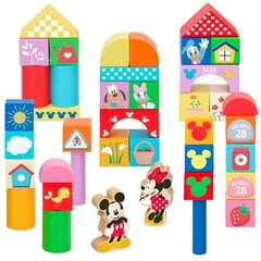 Blocks Disney, 40 kpl hinta ja tiedot | LEGOT ja rakennuslelut | hobbyhall.fi