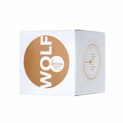 Kondomit Wolf, 12 kpl. hinta ja tiedot | Kondomit | hobbyhall.fi