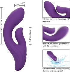 Vibraattori Stella Dual Pleaser hinta ja tiedot | Vibraattorit | hobbyhall.fi