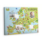 Pin board Maailman kartta lipuilla, 100x70 cm hinta ja tiedot | Toimistotarvikkeet | hobbyhall.fi