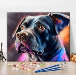 Maalaus numeroilla 40x50cm hinta ja tiedot | Tishiron Lelut yli 3-vuotiaille lapsille | hobbyhall.fi