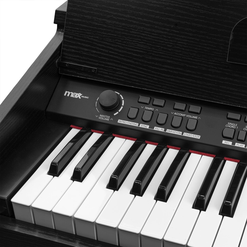 MAX RhapsodyDP61 digitaalinen piano, 61 kosketinta huonekalutelineellä hinta ja tiedot | Kosketinsoittimet | hobbyhall.fi