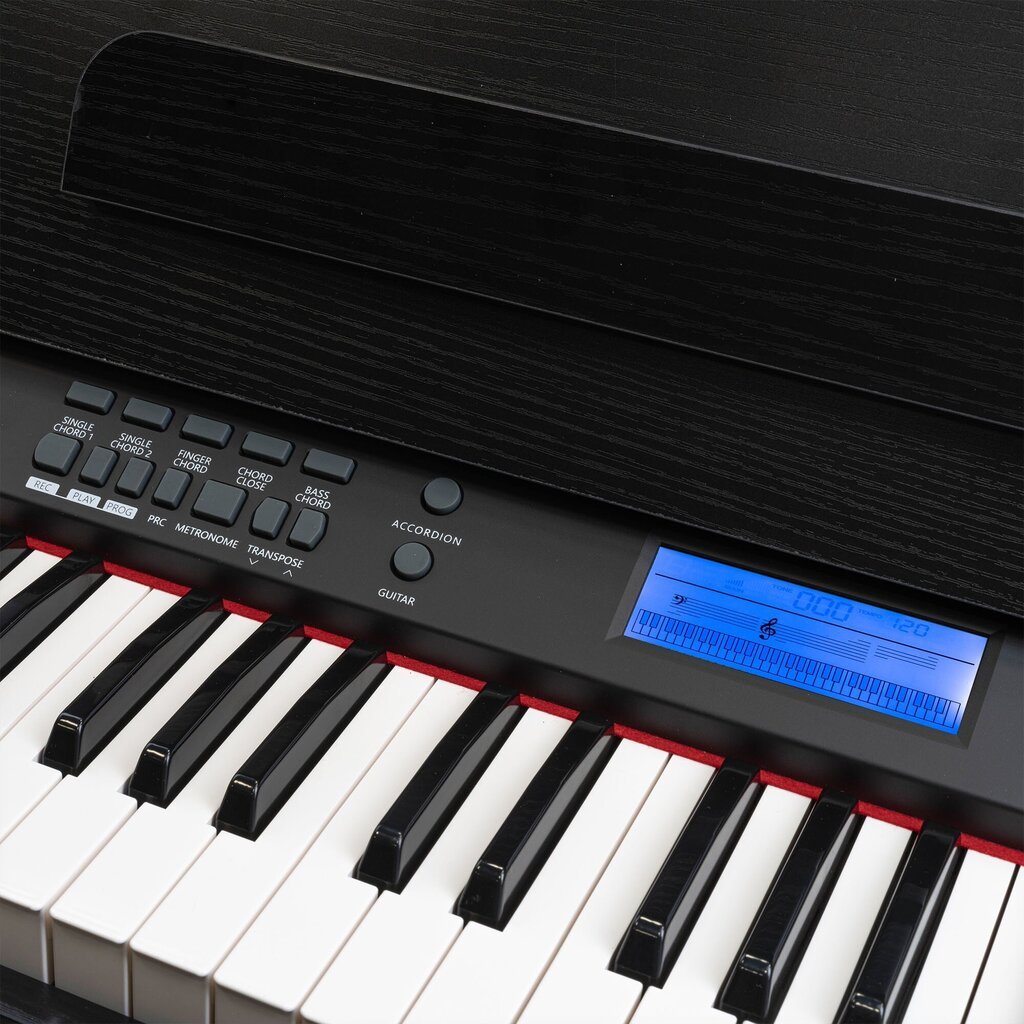 MAX RhapsodyDP61 digitaalinen piano, 61 kosketinta huonekalutelineellä hinta ja tiedot | Kosketinsoittimet | hobbyhall.fi