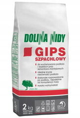 Dolina Nidy Gipsy kitti 2 kg vaaleanharmaa hinta ja tiedot | Laastit ja kitit | hobbyhall.fi