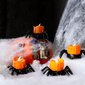 1kpl/12kpl Halloween Hämähäkit kynttilä Led Light -juhlajuhlamallin koristelu kotijuhliin hinta ja tiedot | Kynttilät ja kynttilänjalat | hobbyhall.fi