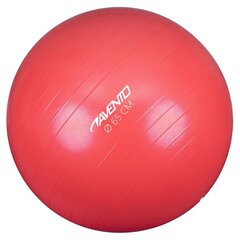 Avento Fitness/jumppapallo halkaisija 65 cm pinkki hinta ja tiedot | Avento Kuntoiluvälineet | hobbyhall.fi