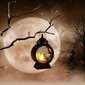 Halloween-koristelyhty, musta hinta ja tiedot | Sisustustuotteet | hobbyhall.fi