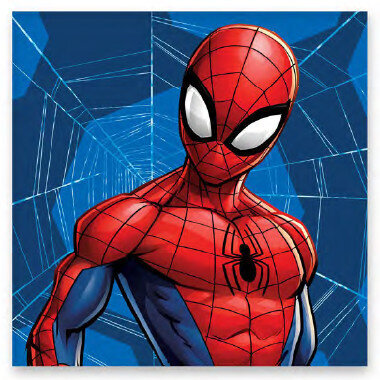 Lasten pyyhe Spiderman Web 30x30cm