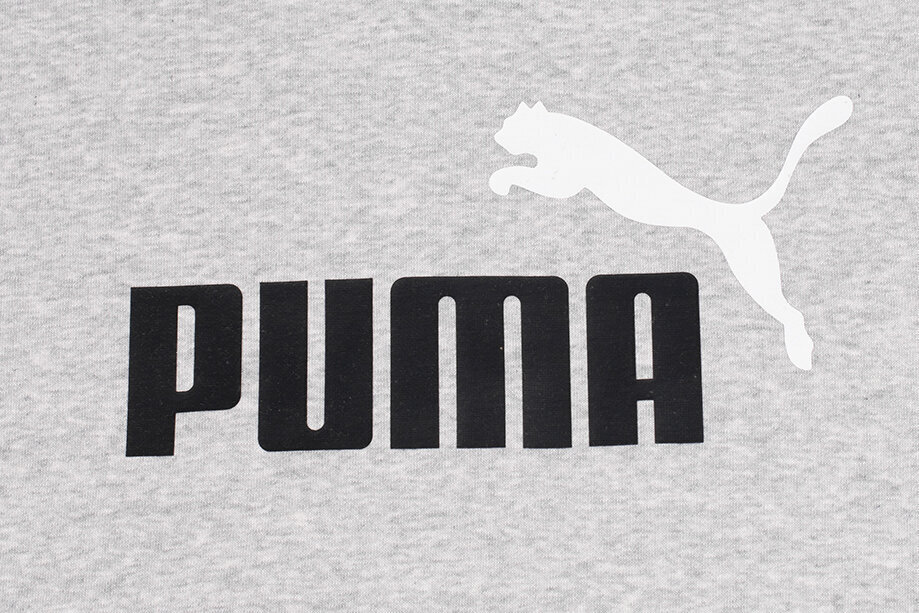 Miesten neulepusero Puma Ess 2 586762 04, harmaa hinta ja tiedot | Miesten puserot ja hupparit | hobbyhall.fi