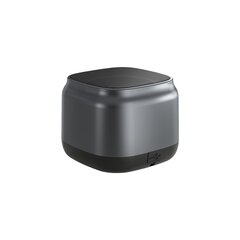 Langaton kaiutin Newmine BT15 Tws HIFI Bluetooth5.1 5W hinta ja tiedot | Kaiuttimet | hobbyhall.fi