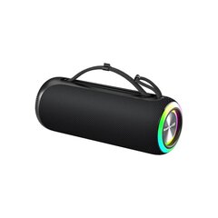 Langaton kaiutin Newmine BT507 66MM RGB 24H 5200mah ipx6 AUX type-c ipx5 Bluetooth5.0 40W hinta ja tiedot | Kaiuttimet | hobbyhall.fi