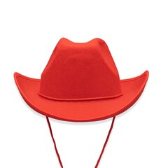 Naisten Cowboy Hattu Eri Vintage Western Cowboy Hattu Yksivärinen Huopahattu Miesten ja Naisten Ulkoilu Rider Hattu hinta ja tiedot | Miesten hatut, huivit ja käsineet | hobbyhall.fi