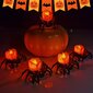 kpl Halloween-hämähäkkikynttilälyhdyt, Halloween-koristeet hinta ja tiedot | Juhlakoristeet | hobbyhall.fi