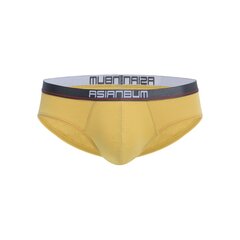 Miesten alusvaatteet Asianbum U320268P3 lyhyt Modaalinen hinta ja tiedot | Miesten alushousut | hobbyhall.fi