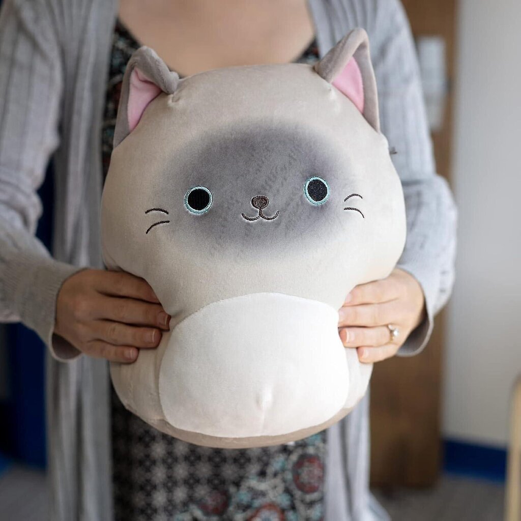 10" Felton The Siamese Cat - Virallisesti lisensoitu Kellytoy Pehmo - Keräilypehmeä & Squishy Kittty -täytetty eläinlelu - 10 tuumaa hinta ja tiedot | Koristetyynyt ja tyynynpäälliset | hobbyhall.fi