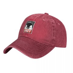 Linux Code Python Baseball Lippalakit Sudoa on noudatettava Isähattu miehelle Peaked Cap aurinkovarjo hinta ja tiedot | Miesten hatut, huivit ja käsineet | hobbyhall.fi