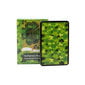 St. Patrick's Day Lenormand, kortin koko 8,8x6cm, ohjaamaton, lenormand-kortti, oraakkelin ennustamisen tarotharjoitus hinta ja tiedot | Lautapelit ja älypelit | hobbyhall.fi