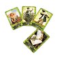 St. Patrick's Day Lenormand, kortin koko 8,8x6cm, ohjaamaton, lenormand-kortti, oraakkelin ennustamisen tarotharjoitus hinta ja tiedot | Lautapelit ja älypelit | hobbyhall.fi