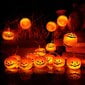 Halloween-valot, LED-kurpitsavalot, juhlavalot ulkosisustukseen, 2-tilaa tasaiset/vilkkuvat valot (20 One Pumpkin Lights, 9,8 jalkaa) hinta ja tiedot | Juhlakoristeet | hobbyhall.fi