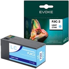 Epson PJIC2 vaaleansininen värikasetti , 31 ml , 1000 sivua , C13S02020689 , yhteensopiva Discproducer PP-100N11 PP-50II PP100II PP100III kanssa. hinta ja tiedot | Mustekasetit | hobbyhall.fi