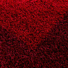 Matto Ayyildiz LIFE punainen, 160X230 cm hinta ja tiedot | Isot matot | hobbyhall.fi