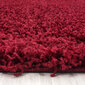 Matto Ayyildiz LIFE punainen, 60x110 cm hinta ja tiedot | Isot matot | hobbyhall.fi