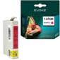 Epson tulostimen mustekasetti 713 magenta , 13,5 ml , 900 sivua , C13T07134011 / T0713 , yhteensopiva seuraavien kanssa: DX4000 DX4400 DX7450 DX9400 DX8400 DX4000 DX4400 DX7450 DX9400 DX8400 DX8400 hinta ja tiedot | Mustekasetit | hobbyhall.fi