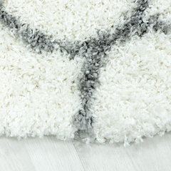 Shaggy Salsa, Ayyildiz pyöreän muotoinen matto 120x120 cm hinta ja tiedot | Isot matot | hobbyhall.fi