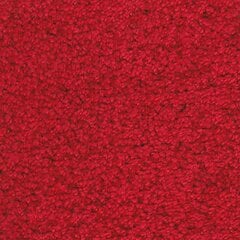 Narma Aruba -nukkamatto, punainen, 200 x 300 cm hinta ja tiedot | Isot matot | hobbyhall.fi