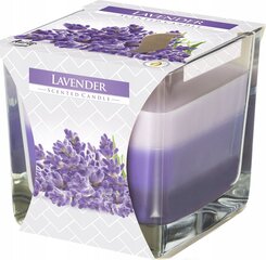 Tuoksuva kynttilä Scented Lavender hinta ja tiedot | Kynttilät ja kynttilänjalat | hobbyhall.fi