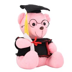 Little Bear pehmo nukke pukulakalla Diploma Bear täytetty nukkelelu Täytetyt eläinten pehmolelu valmistujaislahjoihin Pinkki hinta ja tiedot | Pehmolelut | hobbyhall.fi