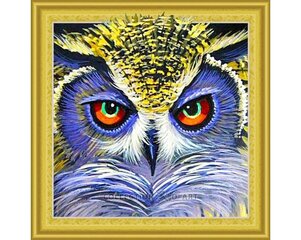 Timanttimaalaus 30x30 cm. "Lucky owl" hinta ja tiedot | Timanttimaalaukset | hobbyhall.fi