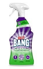 Cillit Bang rasvan ja lian puhdistusaine Grease &amp; Smudges, 750 ml hinta ja tiedot | Puhdistusaineet | hobbyhall.fi