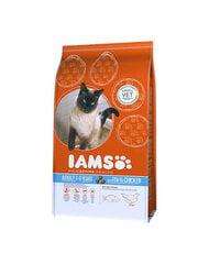 Iams ProActive Health Adult kalan ja kanan kanssa, 10 kg hinta ja tiedot | Kissan kuivaruoka | hobbyhall.fi