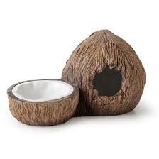 Terraariokoristelu EXO-TERRA Coconut Hide&Water Dish PT3159 hinta ja tiedot | Eksoottisten lemmikkien tarvikkeet | hobbyhall.fi