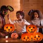 20 kpl Halloween LED hehkuvat ilmapallot hinta ja tiedot | Ilmapallot | hobbyhall.fi