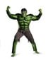 Hulk-asut lapsille/tyylipuvut/halloween-karnevaalijuhlat Cosplay-poikien lasten vaatteet ja koristeet tarvikkeita KOKO:m hinta ja tiedot | Naamiaisasut | hobbyhall.fi