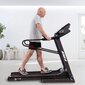 Juoksumatto BH FITNESS Pioneer Senior hinta ja tiedot | Muut urheiluvälineet | hobbyhall.fi