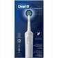 Oral-B D103 hinta ja tiedot | Sähköhammasharjat | hobbyhall.fi