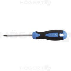 Torx-ruuvimeisseli T15x100 mm HT1S054 hinta ja tiedot | Käsityökalut | hobbyhall.fi