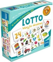 Lotto-peli hinta ja tiedot | Lautapelit ja älypelit | hobbyhall.fi