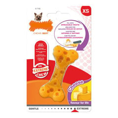 Nylabone-juustoluu, XS hinta ja tiedot | Koiran lelut | hobbyhall.fi