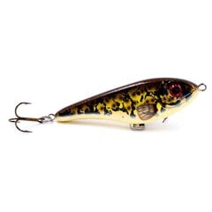 Strike-Pro EG-049 C534 12cm/37g/0,3-2,0m hinta ja tiedot | Vieheet ja uistimet | hobbyhall.fi