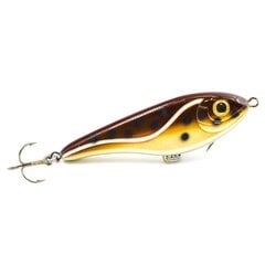 Strike-Pro EG-049 C190 12cm/37g/0,3-2,0m hinta ja tiedot | Vieheet ja uistimet | hobbyhall.fi